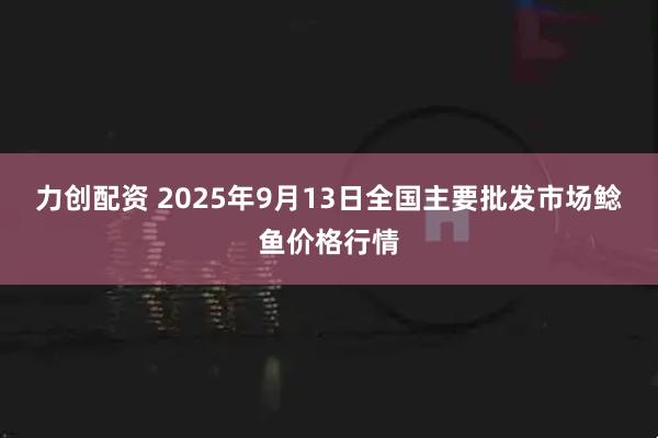 力创配资 2025年9月13日全国主要批发市场鲶鱼价格行情