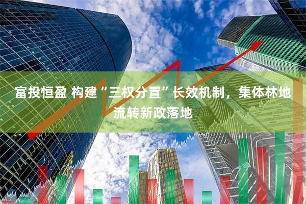 富投恒盈 构建“三权分置”长效机制，集体林地流转新政落地