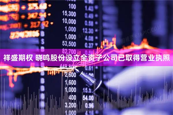 祥盛期权 晓鸣股份设立全资子公司已取得营业执照