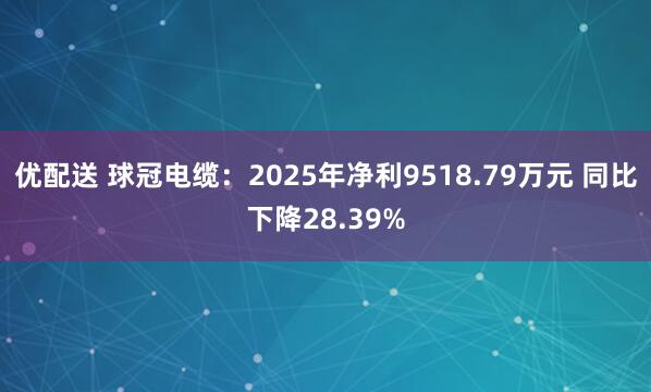 优配送 球冠电缆：2025年净利9518.79万元 同比下降28.39%